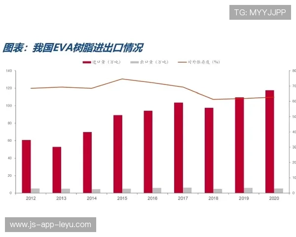 为什么 2026 年的高强度抗阻训练开始强调“动态平衡”？